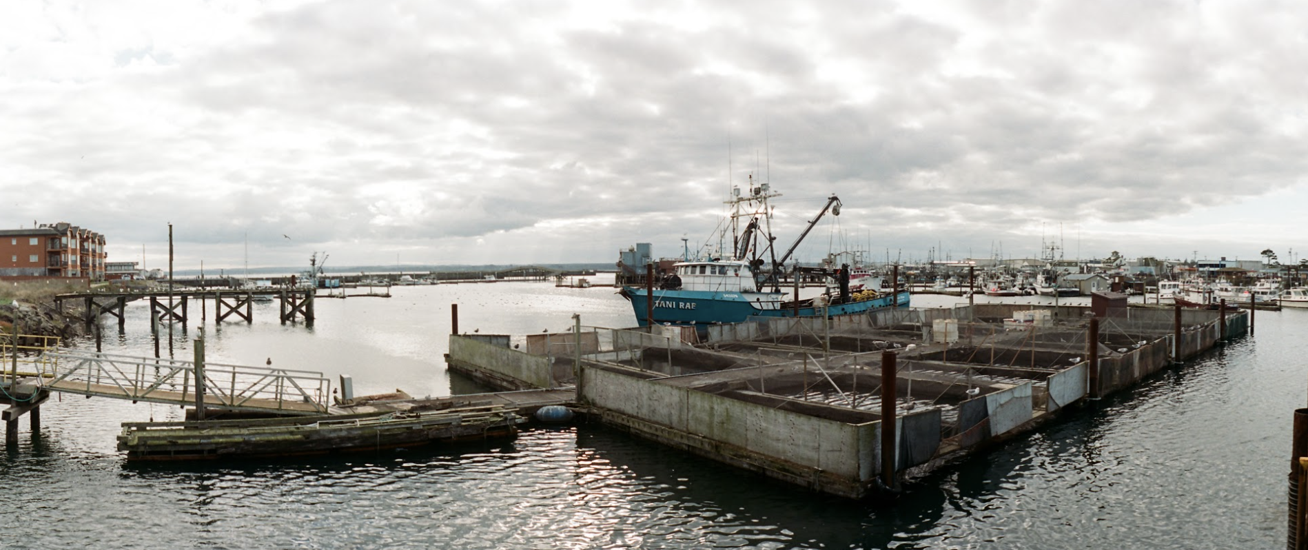 A picture of an AAFA north fishery fishing vessel in the harbour.