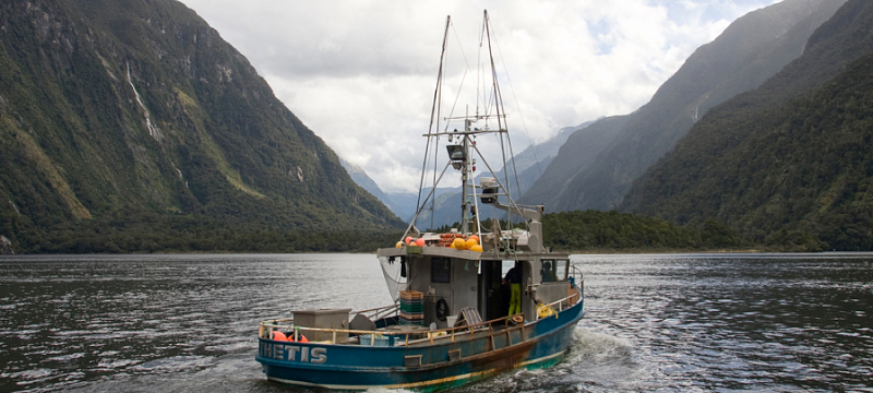 A picture of a troll fishing boat in New Zealand