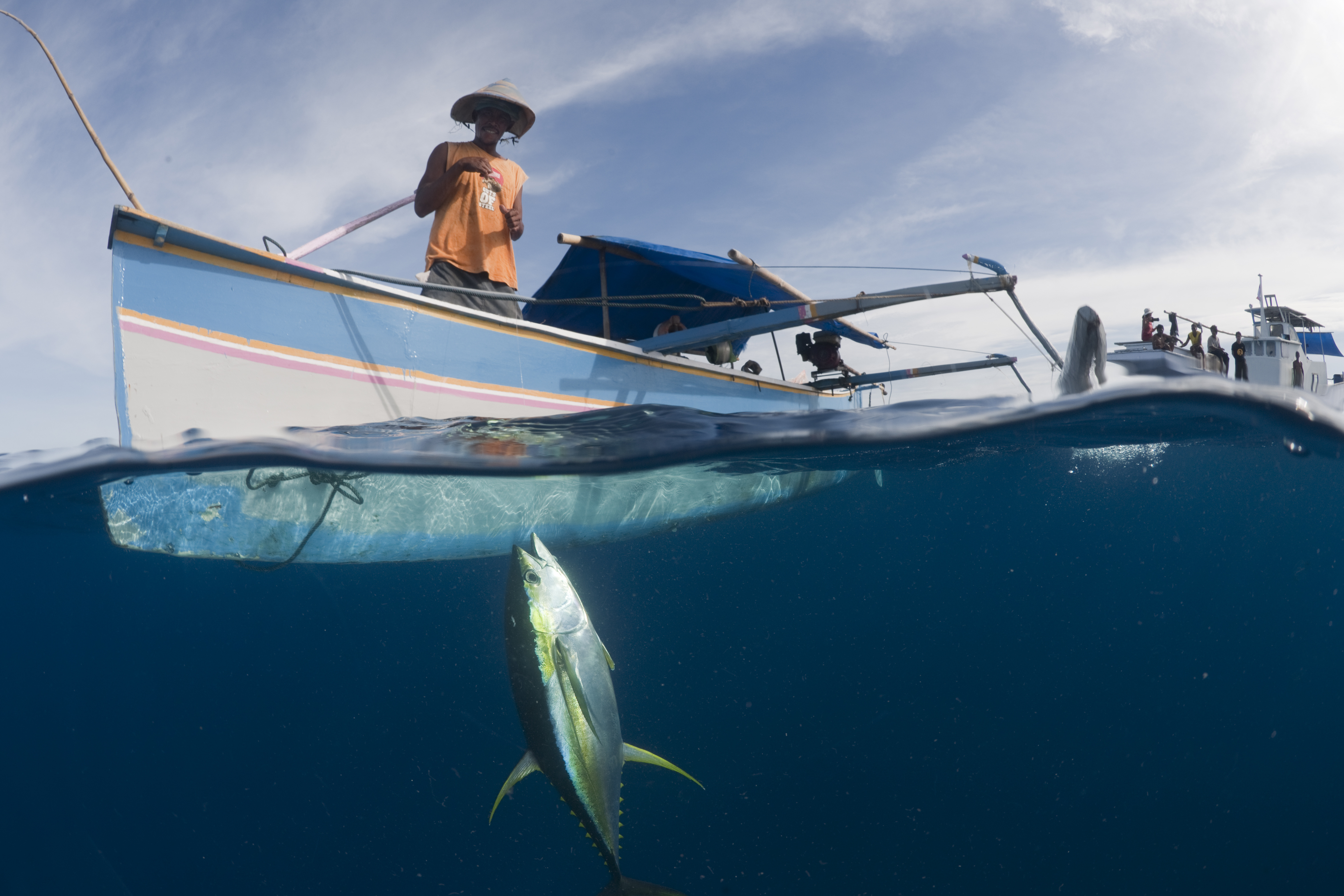 Handliner catching yellowfin tuna