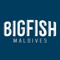 Blue square with the words 'Bigfish Maldives' displayed in white writing in the middle of it.
