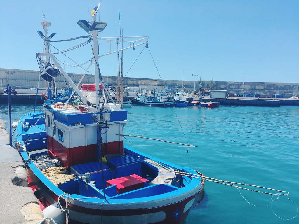 A picture of a pole-and-line tuna fishing vessel in the Canary Islands
