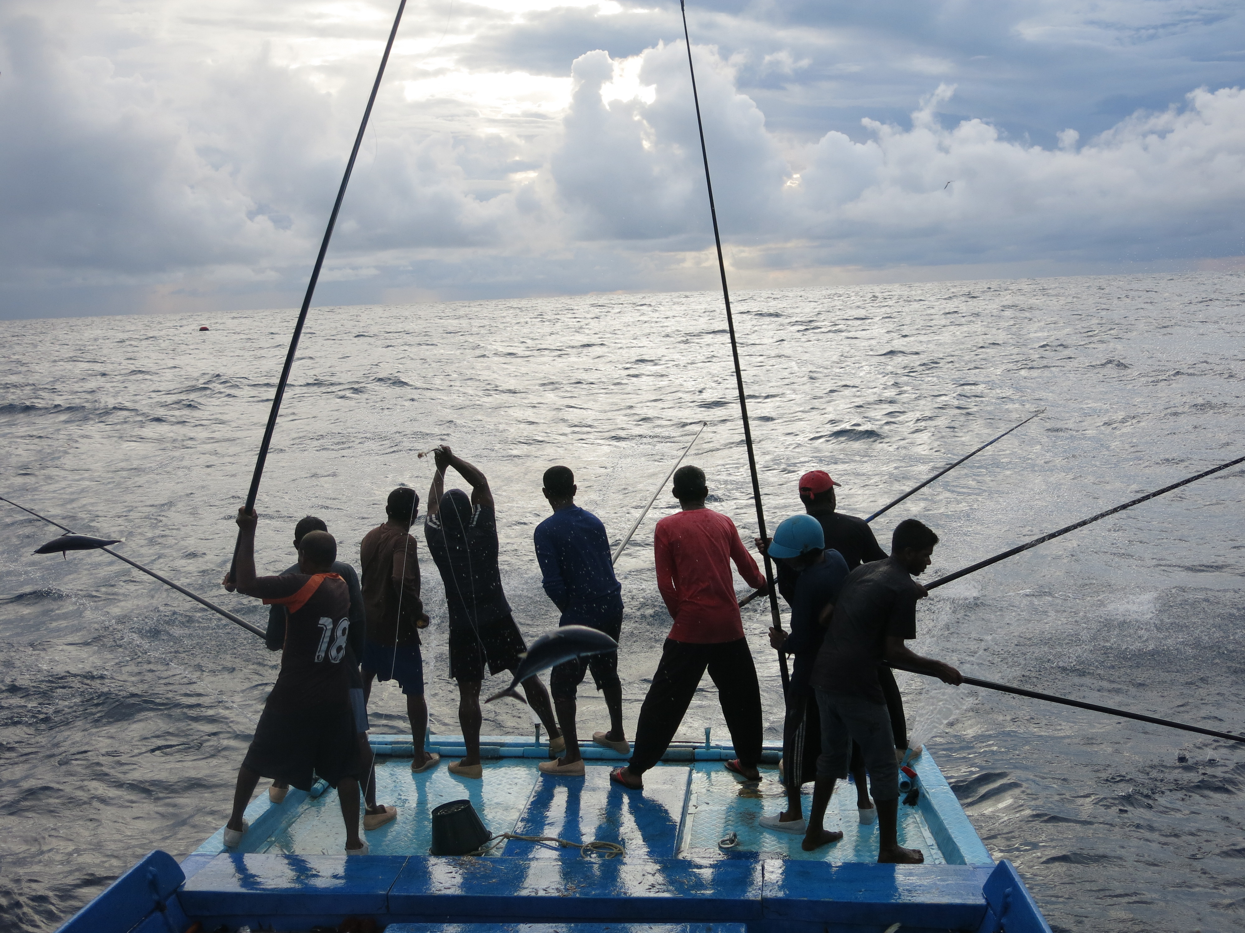 Maldives fishery image 2