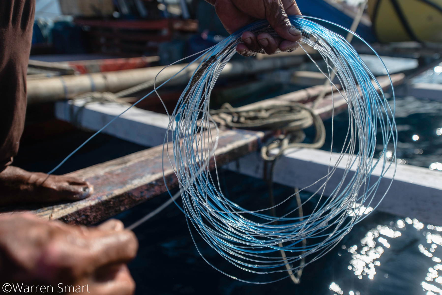 Hand.Line.Cod - Clip 1 (Handlinining for fish catching them live