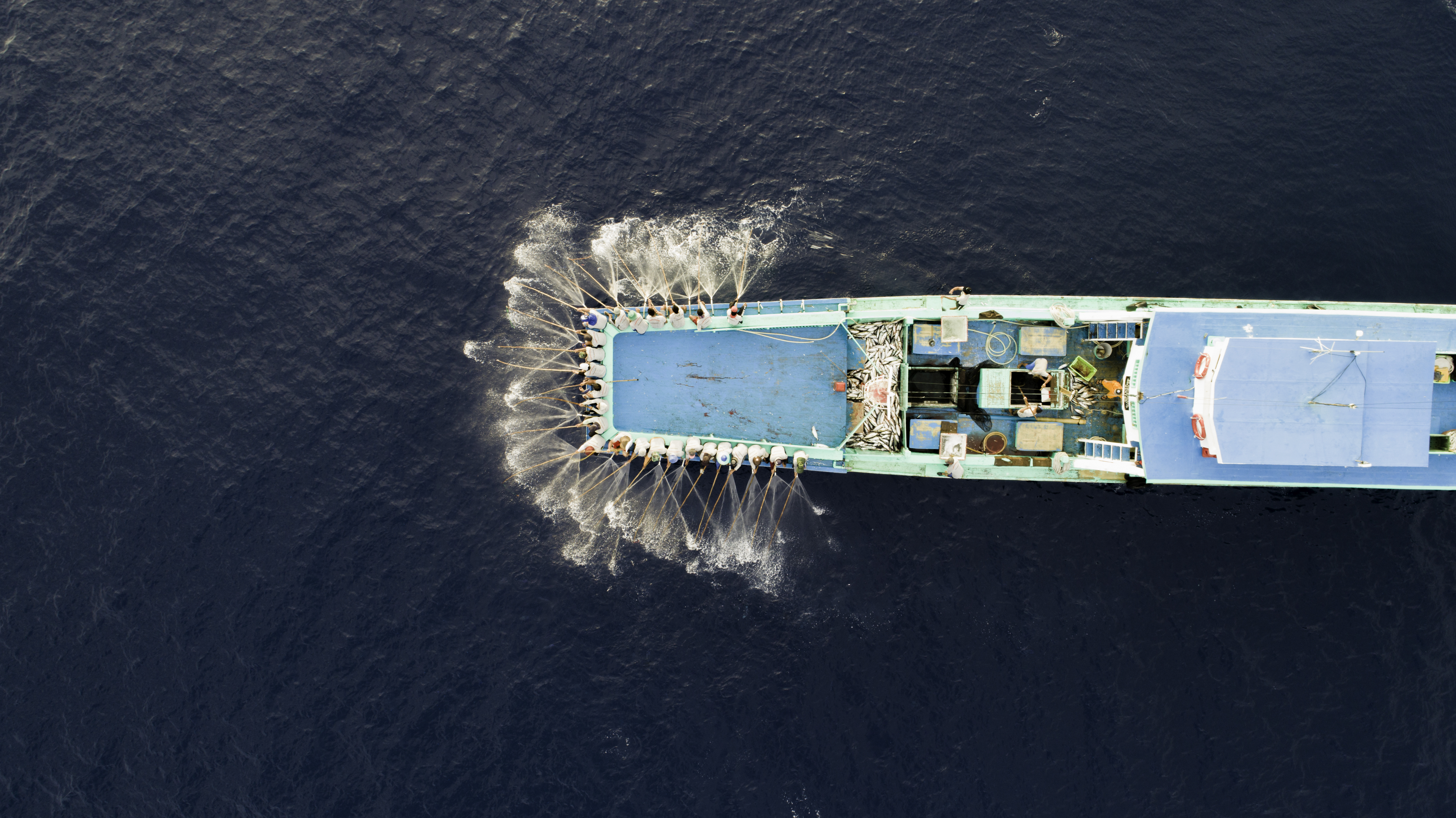 Drone shot of pole and line fishers fishing on a large vessel