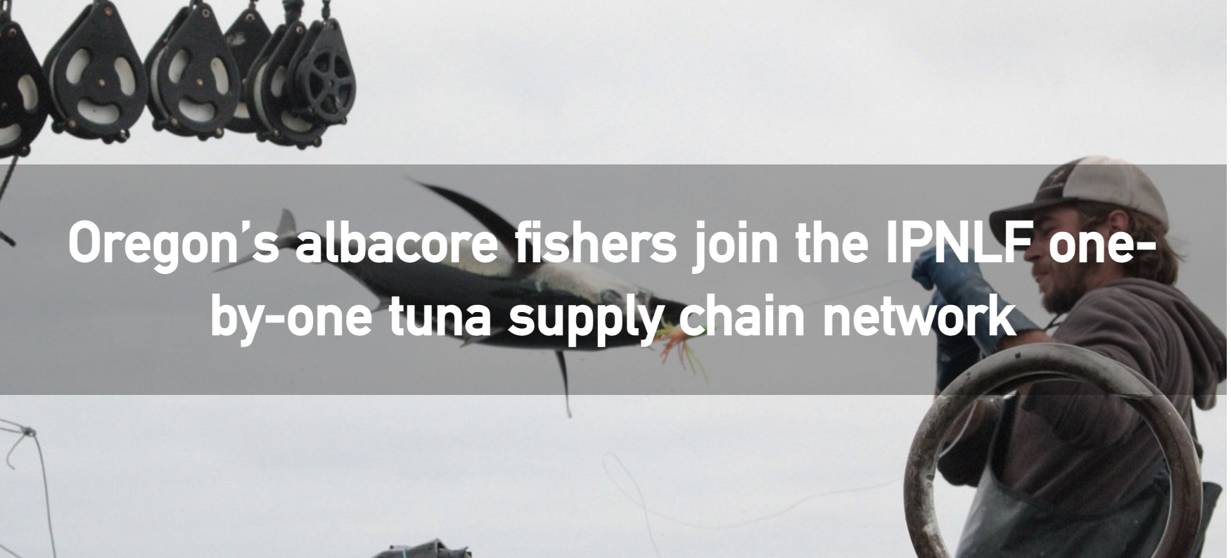 Oregon’s albacore fishers join the IPNLF one-by-one tuna supply chain network