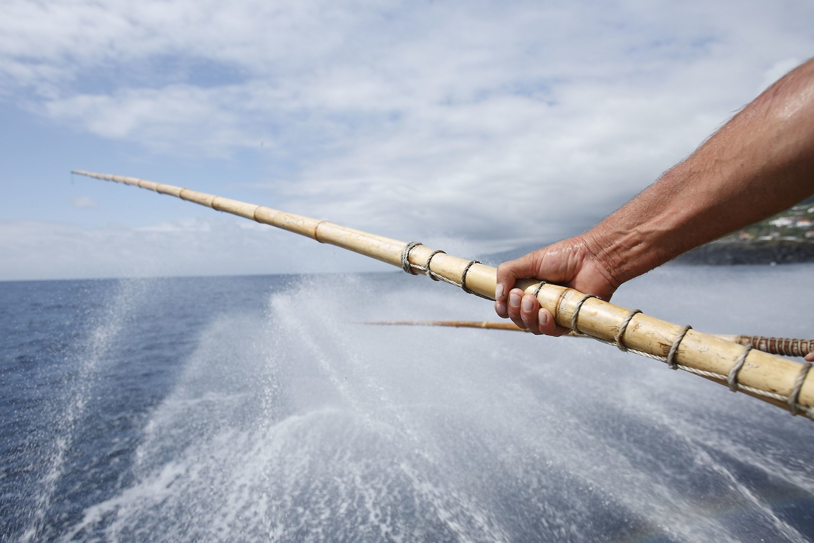 Pole and line, trolling and handline (hook and lines)