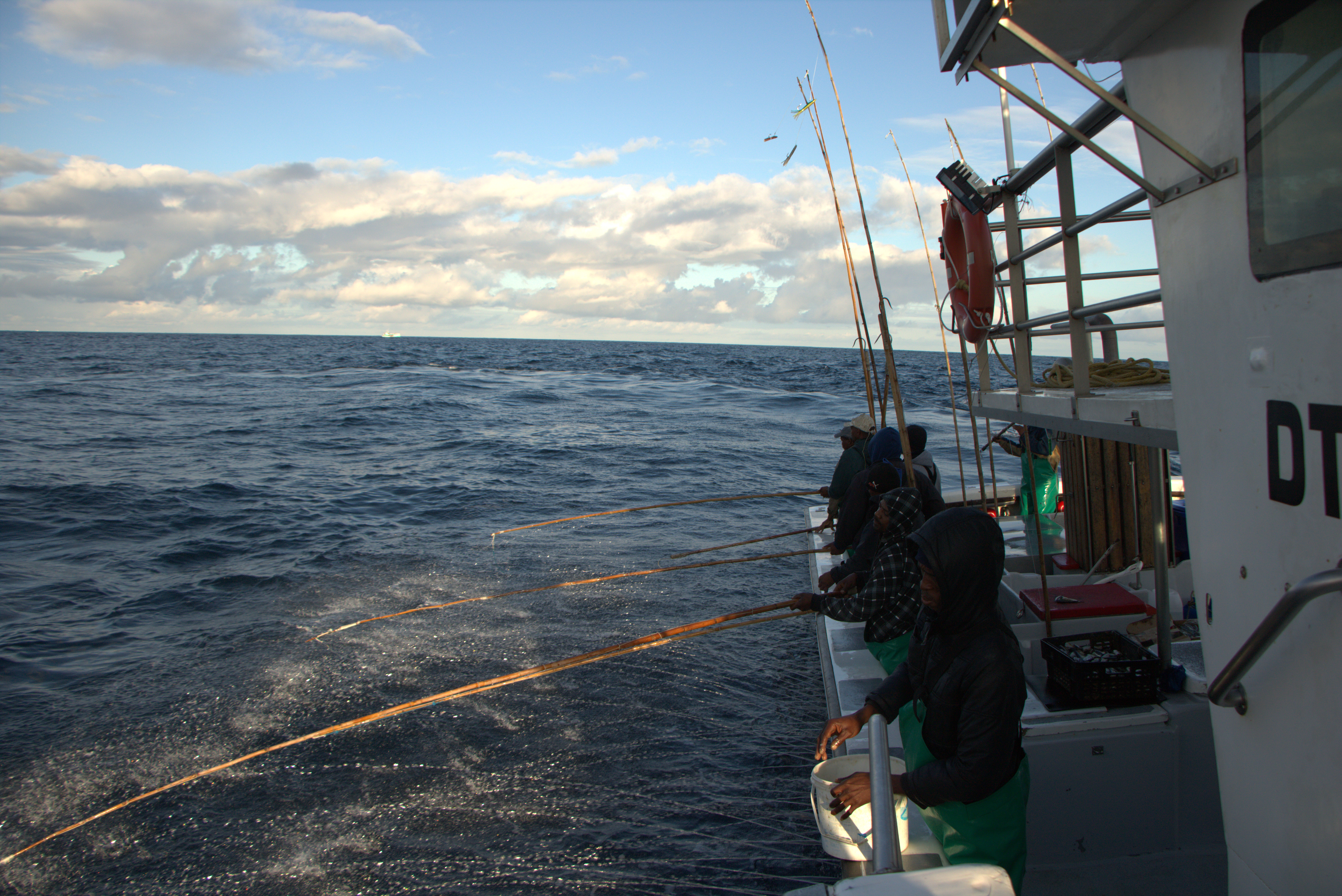 Pole and line fishers on a South African pole and line fishing vessel