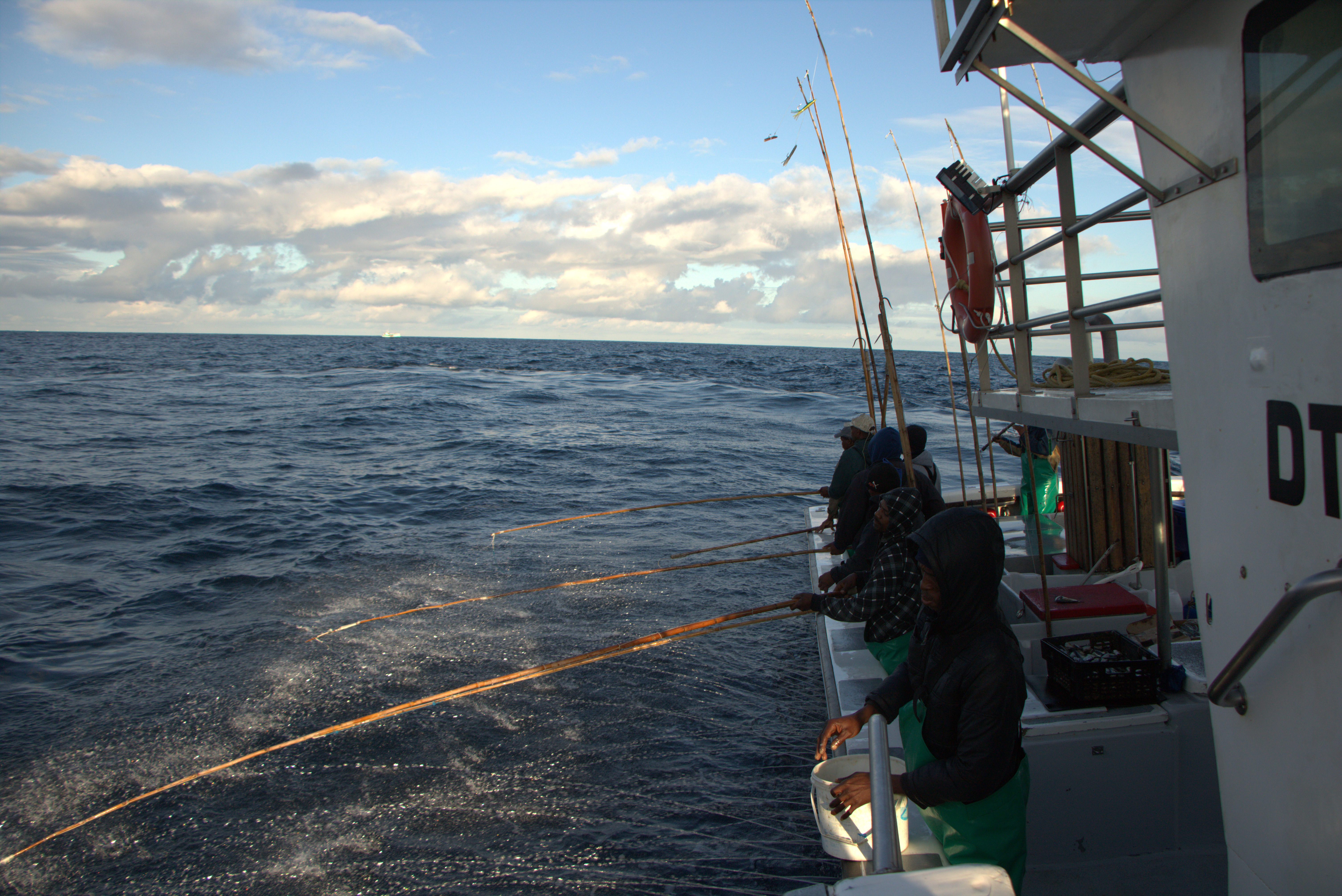 South Africa pole-and-line and troll albacore tuna