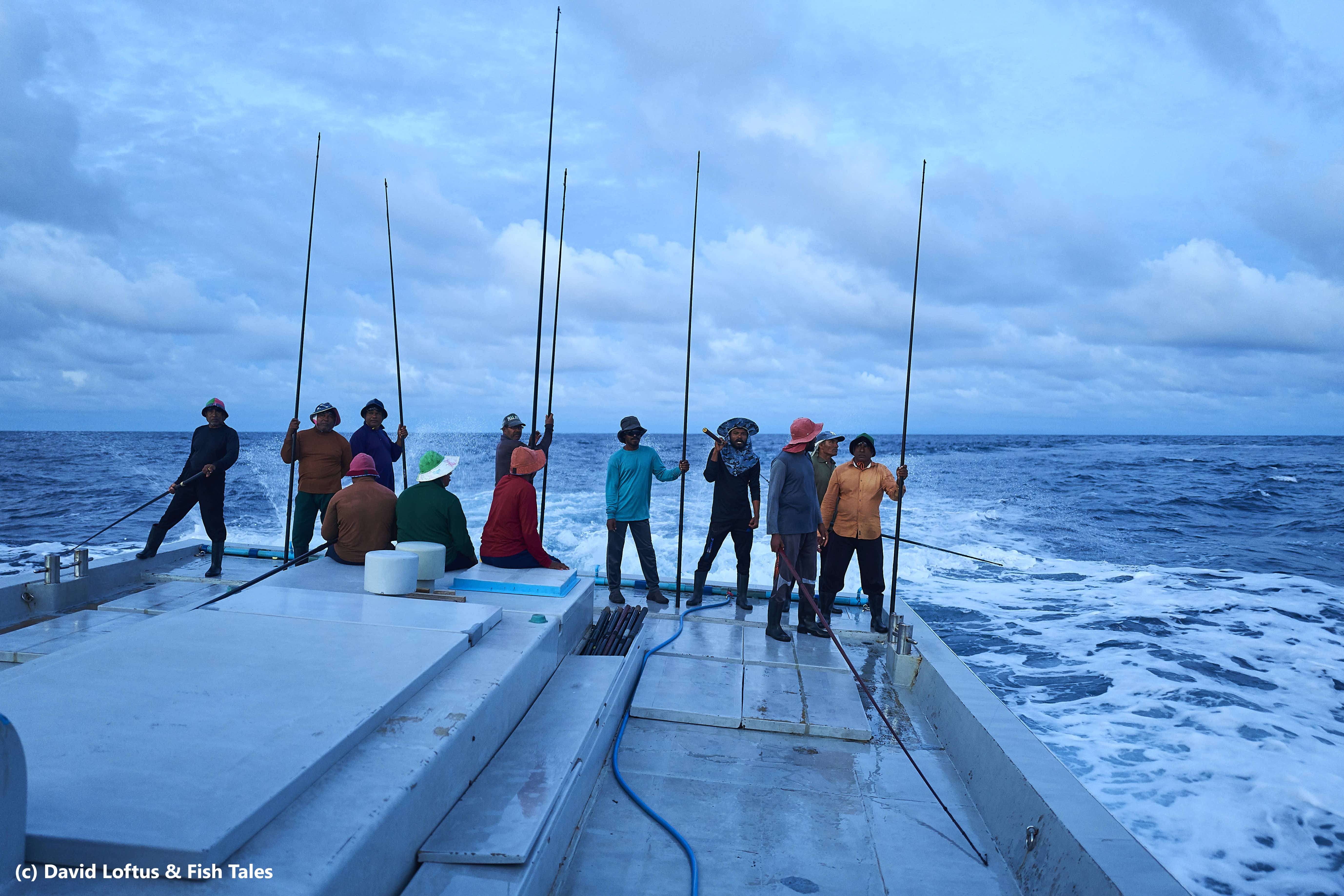 Pole and line fishers on a pole and line fishing vessel