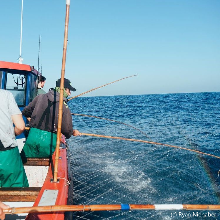 Pole and line fishers on a pole and line fishing vessel