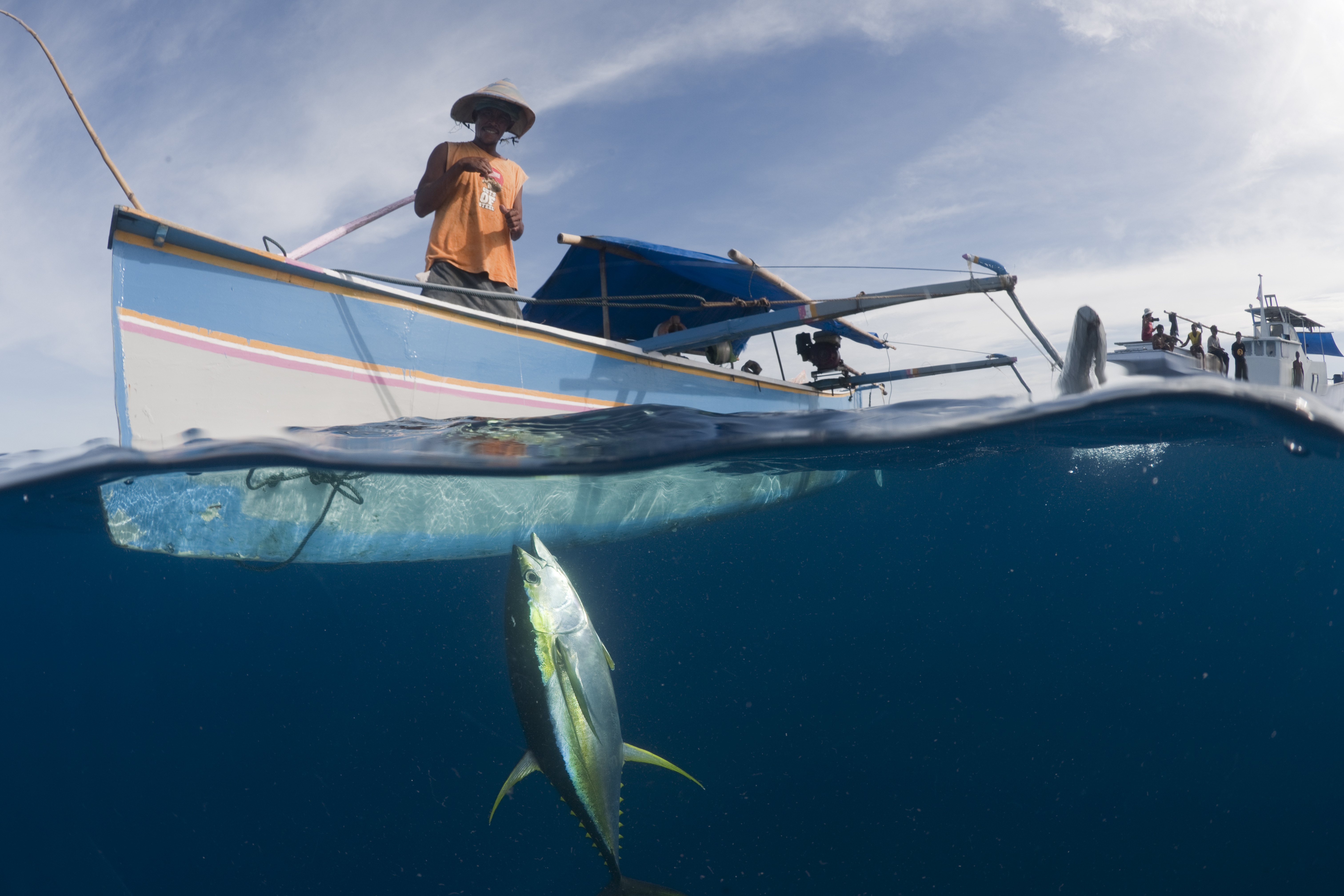 Handlining and squid jigging