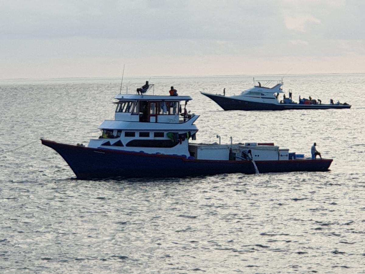 Maldives handline yellowfin tuna