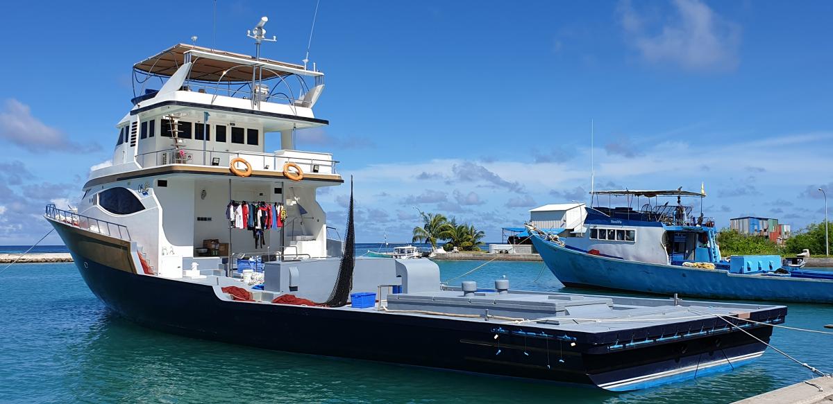 Maldives pole-and-line skipjack tuna