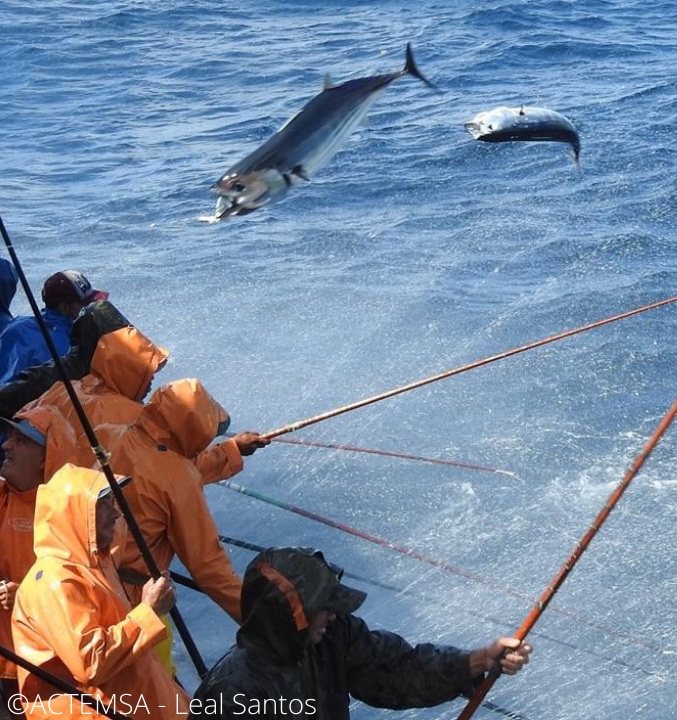 Fishing in Brazil:  Adventure