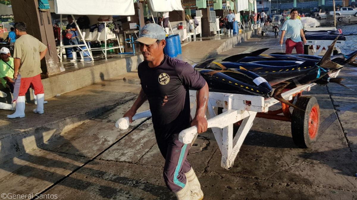 Philippines handline yellowfin tuna