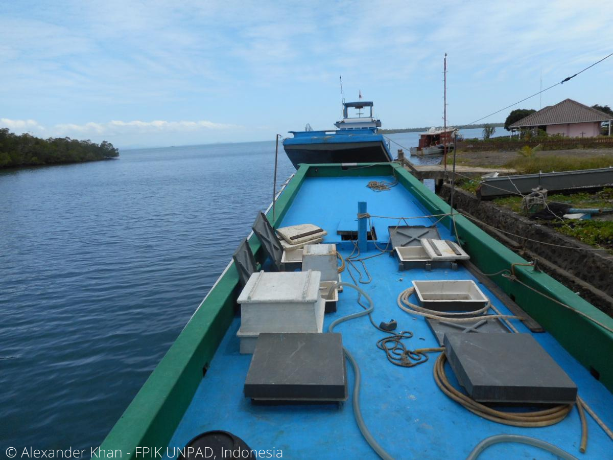 Sorong, West Papua, Indonesia, September 30th 2021. Fisherman unloading  fishes out of fish cart 5345709 Stock Photo at Vecteezy