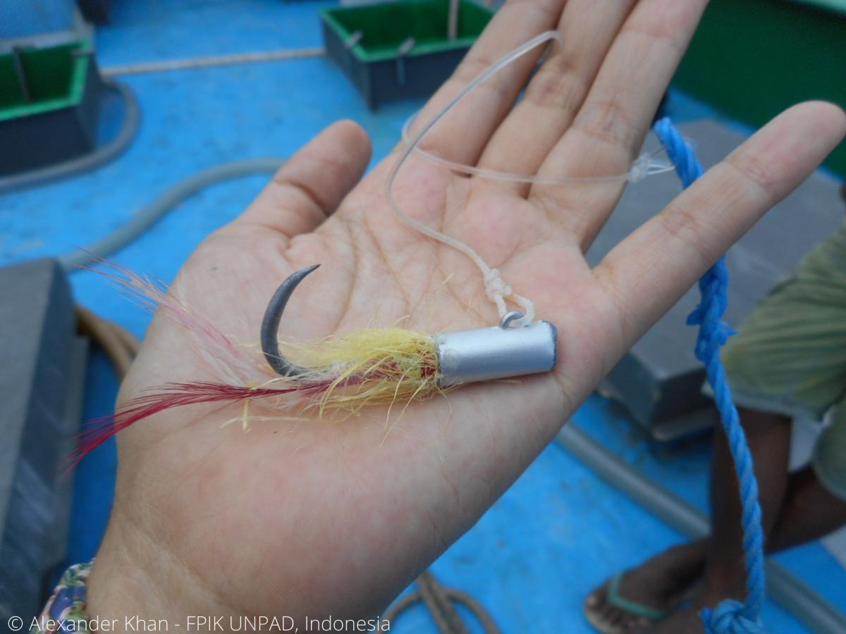 Sorong pole-and-line yellowfin tuna