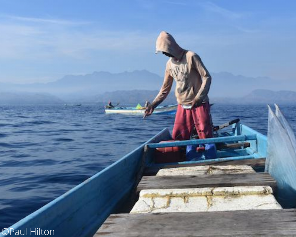 North Buru & Maluku Handline Yellowfin Tuna Fair Trade