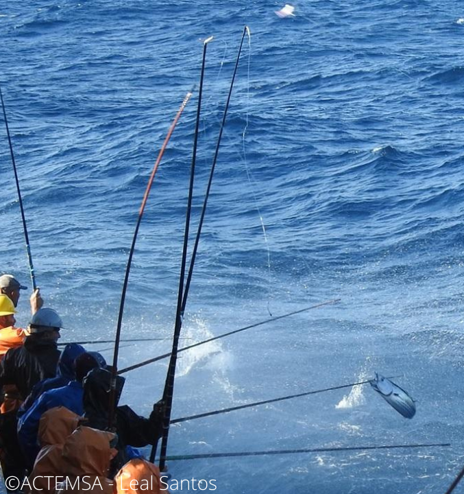 A fishing pole with its line cast in to the Atlantic Ocean