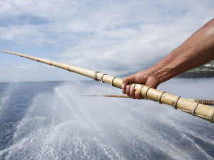 Monster tuna fishing on artificial lure! Atlantic coast. #fishingtikto