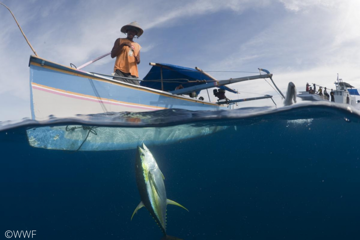 Fisherman using a hand line.