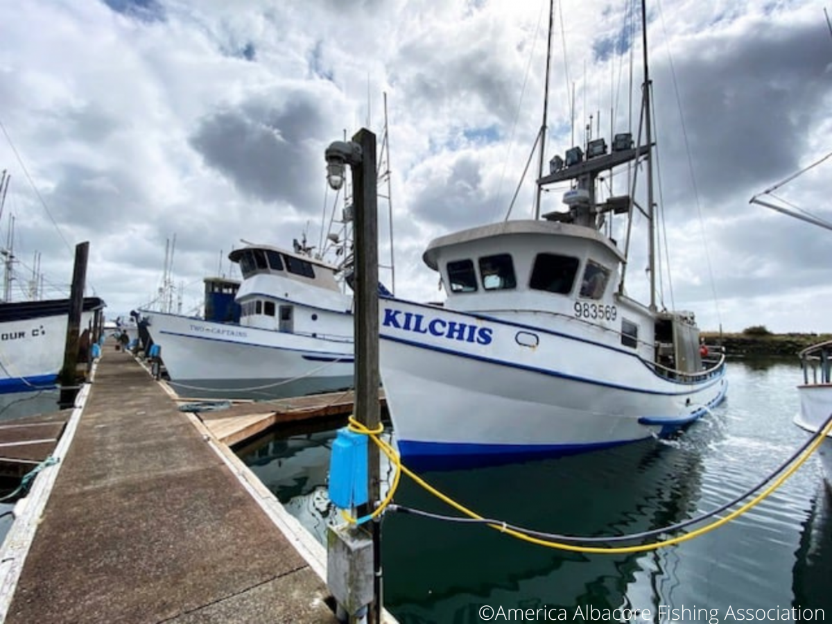 Andy Steer on X: Capture Fish Flags were introduced in the USA circa  1930's to publicly announce to other boats successful fish captures and  releases. Create a unique memento of that fishing