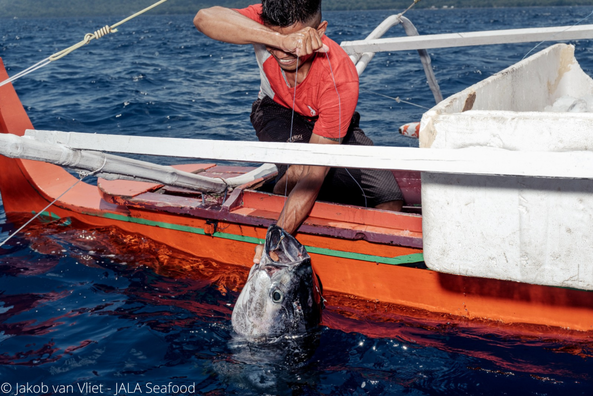 Example of a handline and lure used for surface trolling and kite