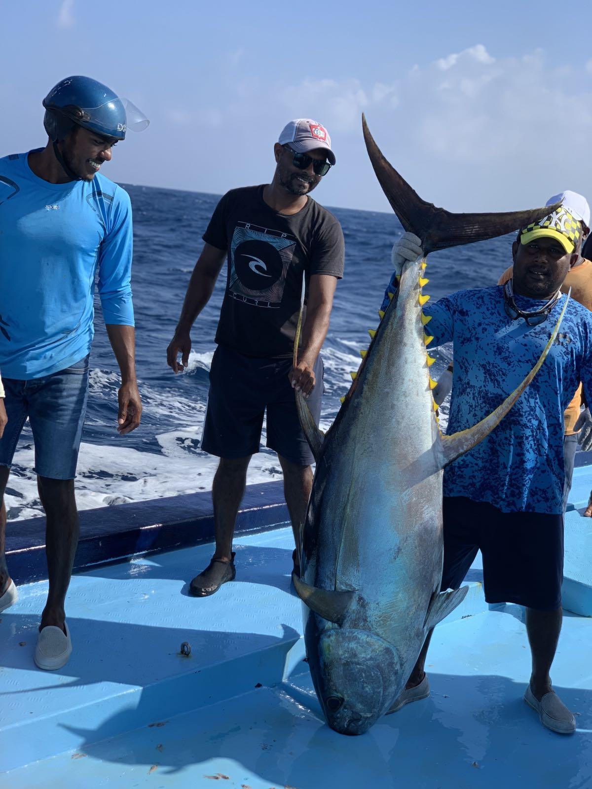 Yellowfin Tuna Fish Catching Skills In Indian Ocean Handline Fish