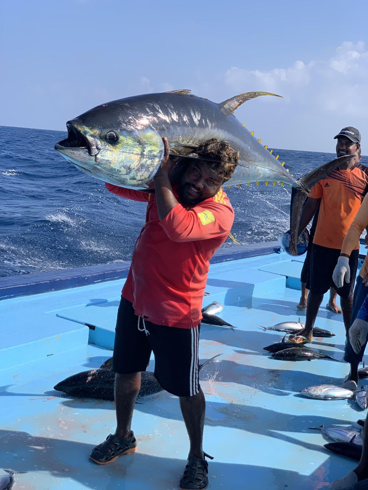 Maldives handline yellowfin tuna | Sourcing Transparency Platform