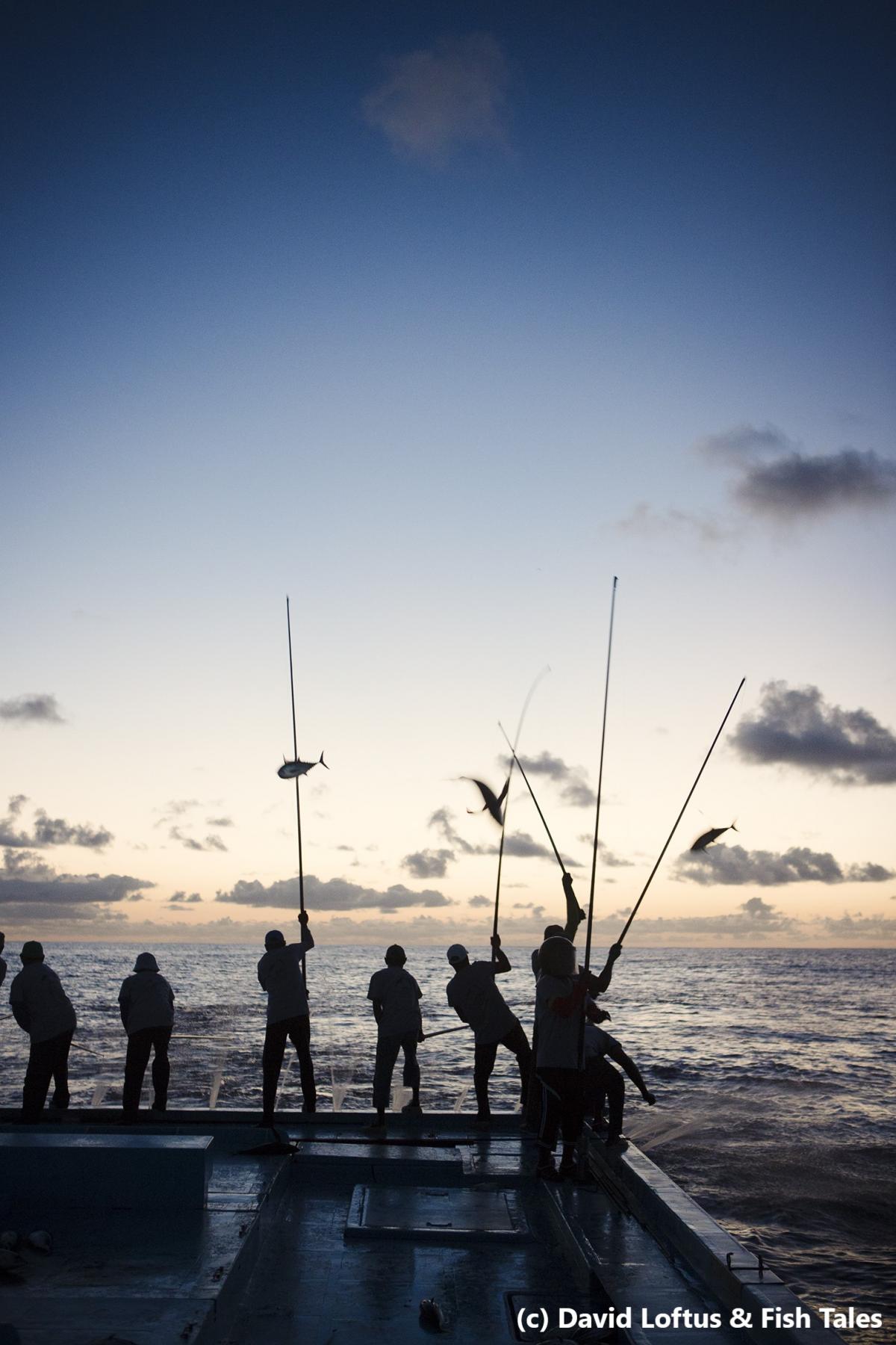 07-Maldives-Pole Line-Fishing - L&C Media HB