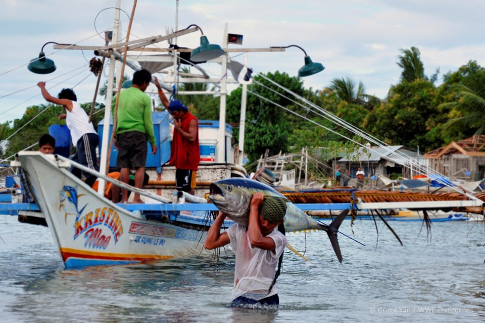 Philippines handline yellowfin tuna