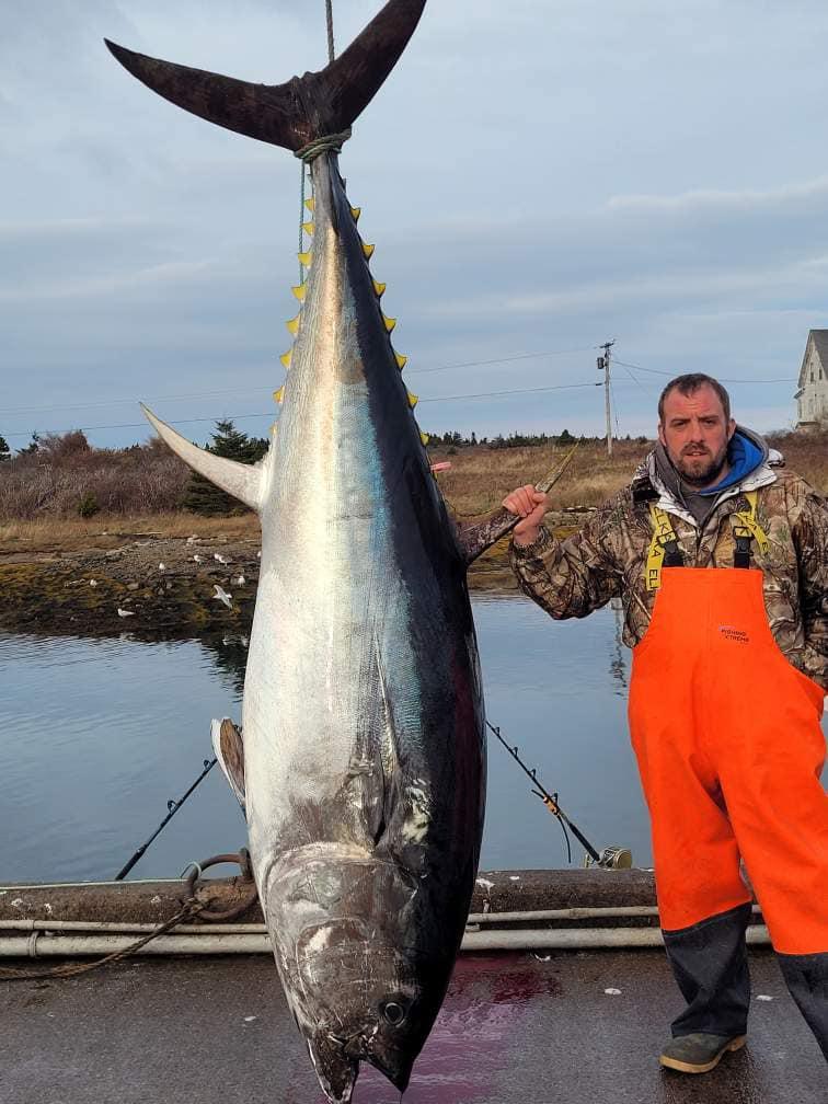 The Oldest Recorded Bluefin Tuna in History