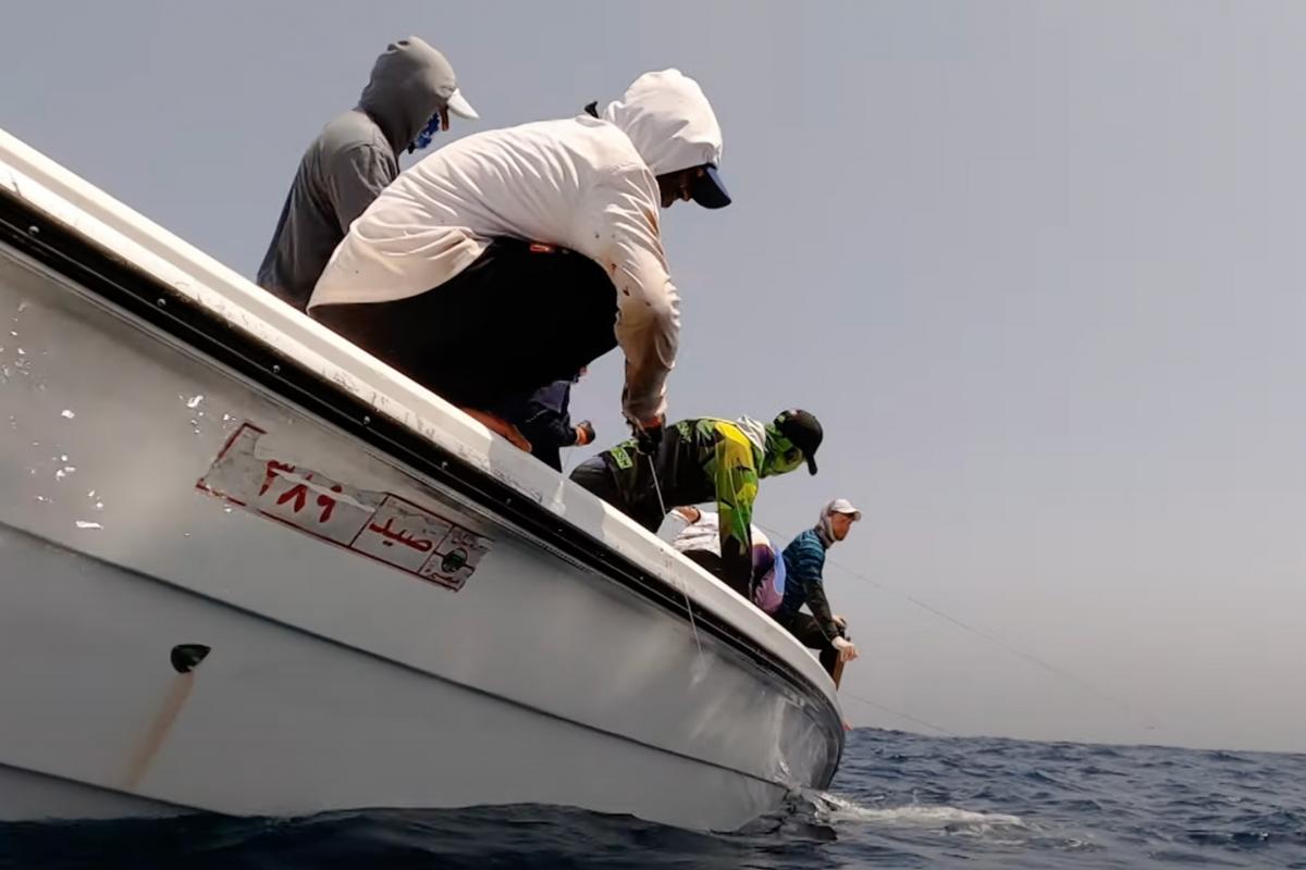 Oman handline yellowfin tuna  Sourcing Transparency Platform