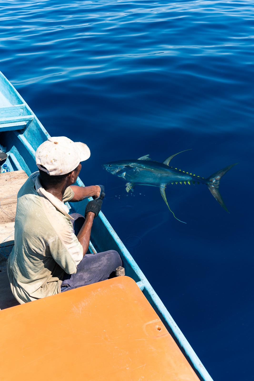 The Indonesian handline fishery – Saparua Island - Fishing & Living