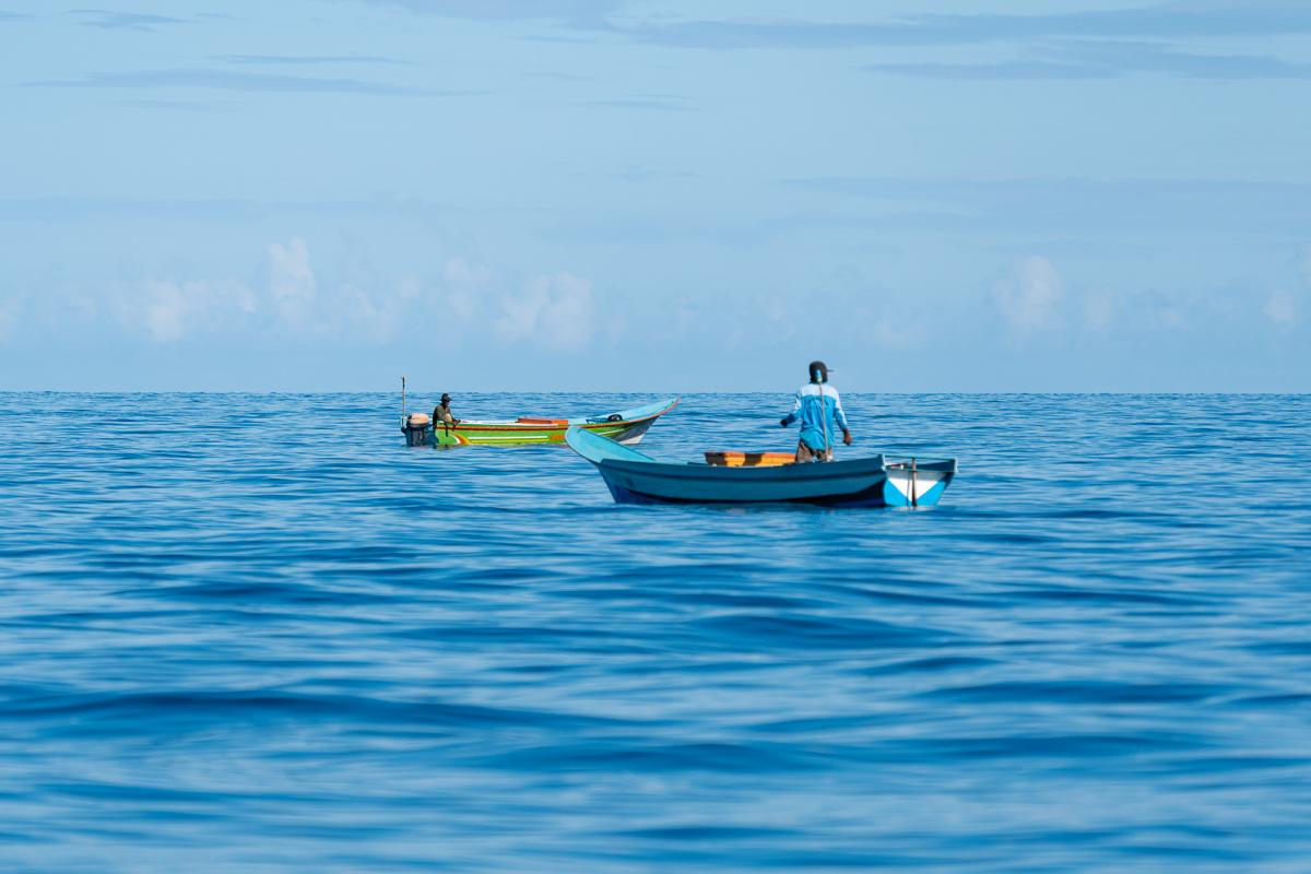 North Buru & Maluku Handline Yellowfin Tuna Fair Trade