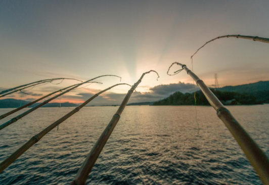 Brazil pole-and-line skipjack tuna