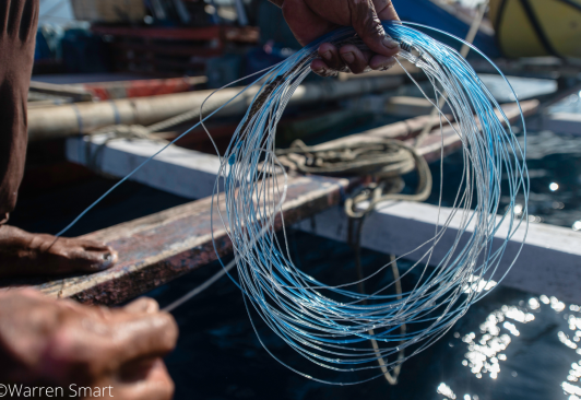 IPNLF, Seafood Souq patnership promotes Oman's small-scale yellowfin tuna  operations