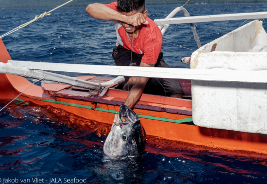 Line Fisher; Indonesia