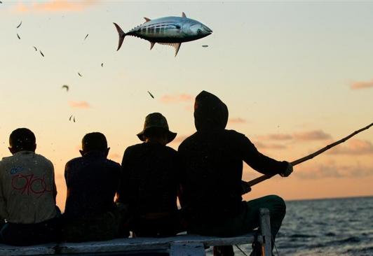 Greenpeace - Pole and Line Fishing in Indonesia