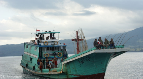 South East Sulawesi pole-and-line skipjack tuna