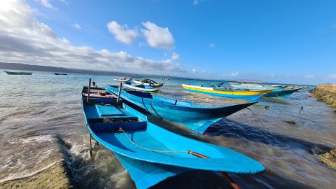 South East Sulawesi handline yellowfin tuna