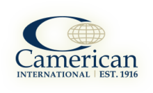 Camerican International logo