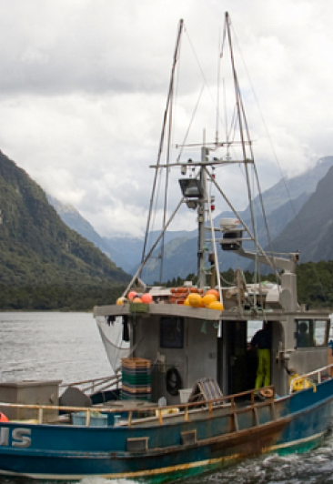 Artisanal and commercial fishing gear and practices in the Lake